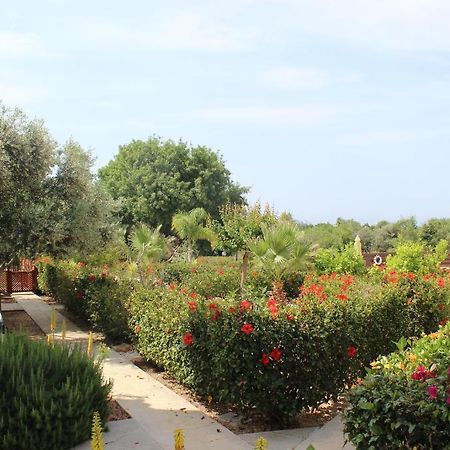 Kavalla Forest Villas Paphos Luaran gambar