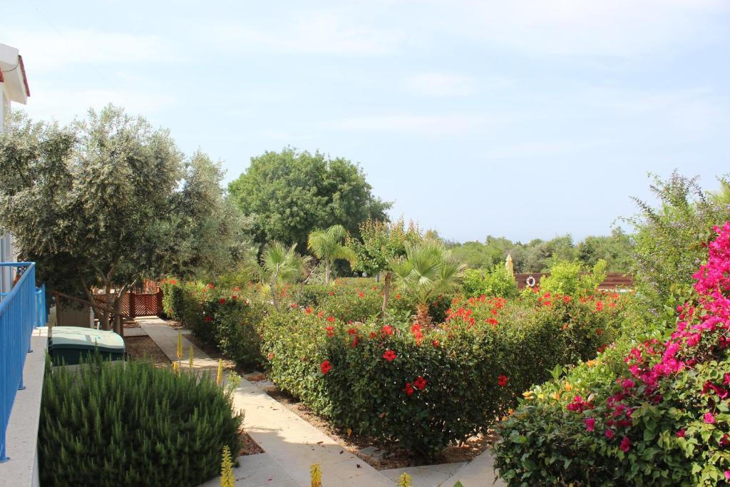 Kavalla Forest Villas Paphos Luaran gambar